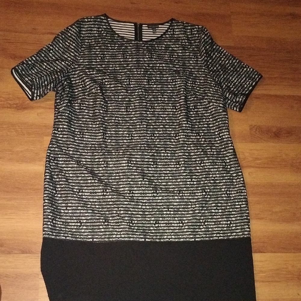The Limited stripes Over Lace Dress